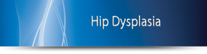 Hip Dysplasia
