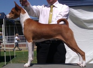Sovereign City Kennel Club 2014